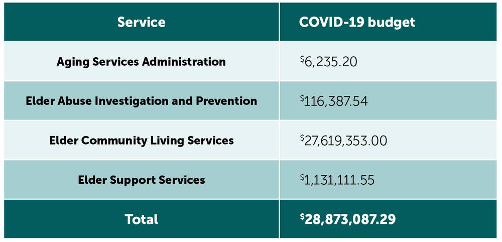 COVID-19 budget